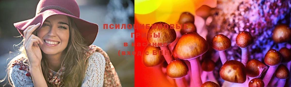 мефедрон мука Новодвинск