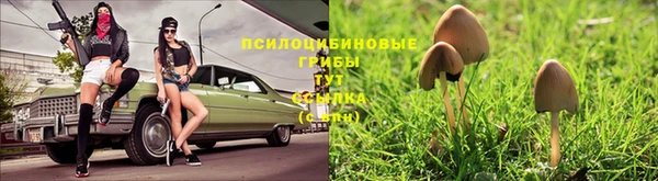 кристаллы Нефтекумск