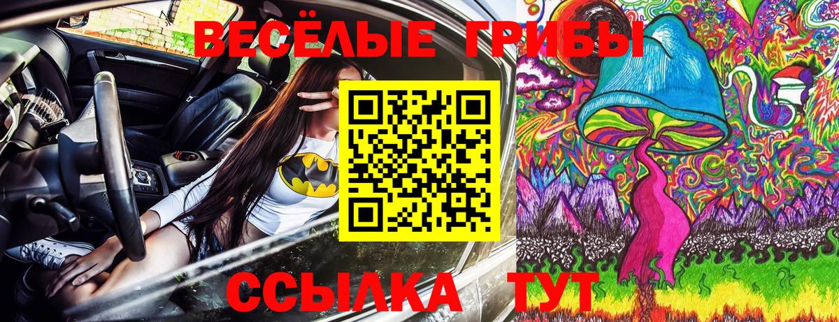 Псилоцибиновые грибы Psilocybe  Киржач  Галлюциногенные грибы Magic Shrooms 