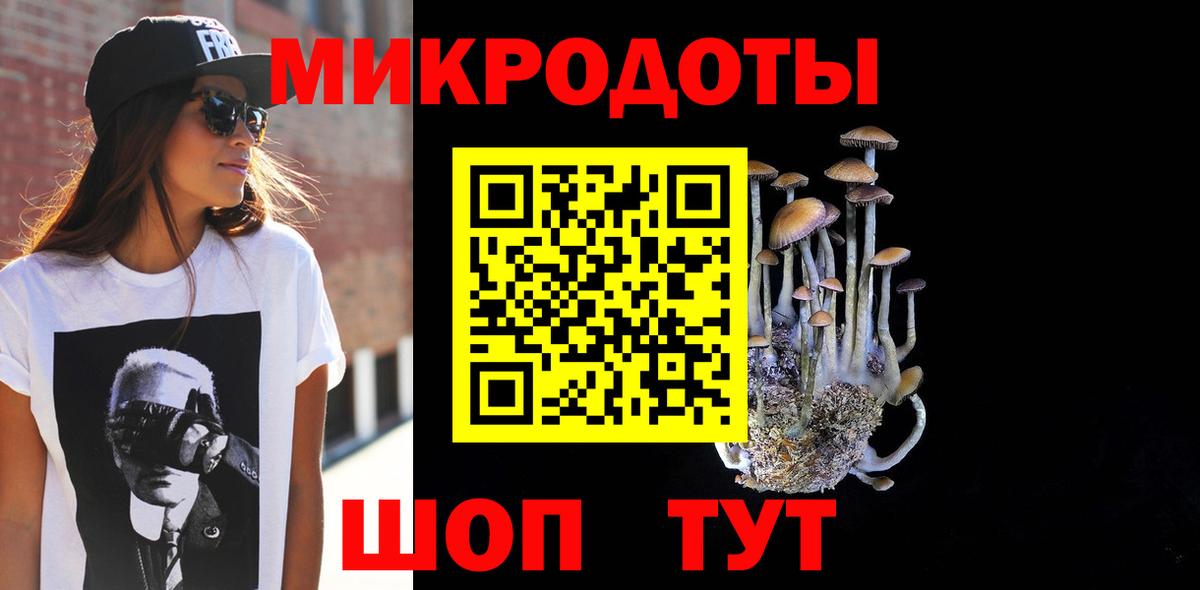 Галлюциногенные грибы Psilocybe Киржач