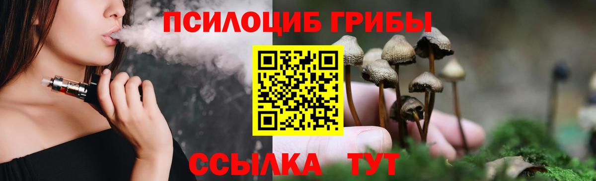 Галлюциногенные грибы GOLDEN TEACHER Киржач