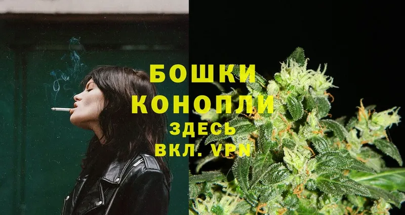 Каннабис SATIVA & INDICA  Киржач 